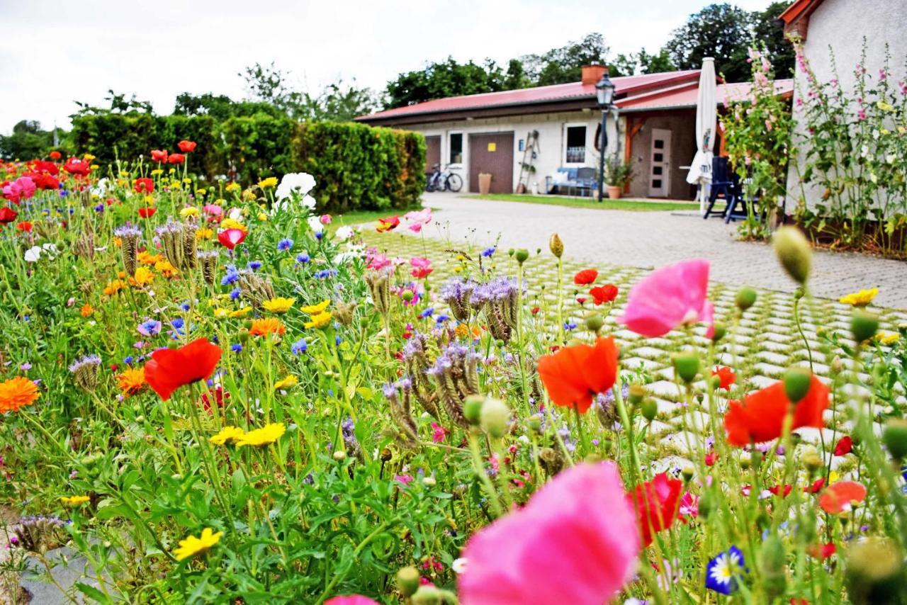 Ferienwohnungen Auf Dem Pommernhof Samtens Екстериор снимка