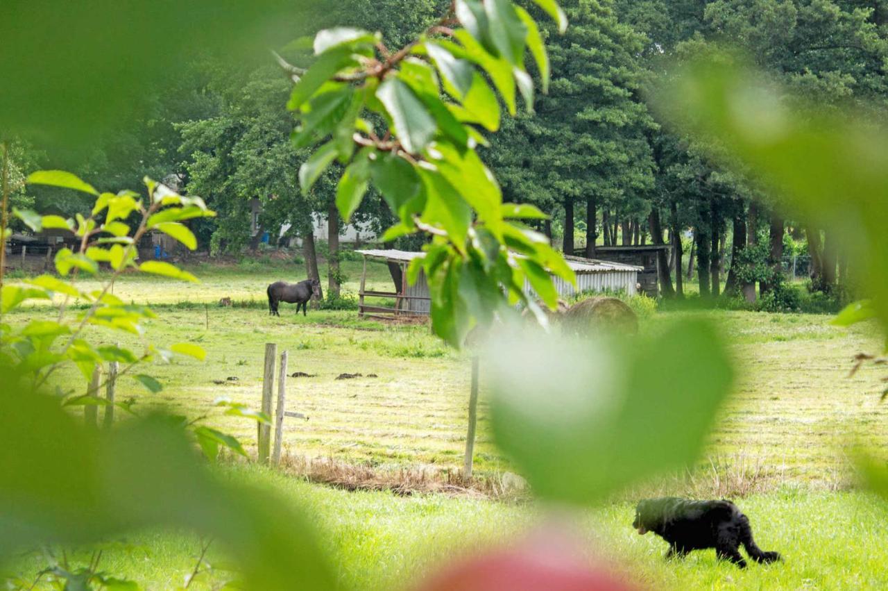 Ferienwohnungen Auf Dem Pommernhof Samtens Екстериор снимка